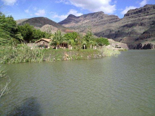 Villa Ayagaures Los Palmitos Dış mekan fotoğraf